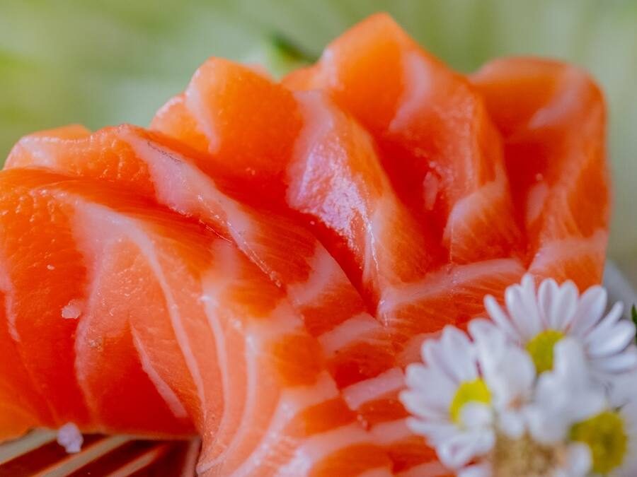 Sashimi de Salmão